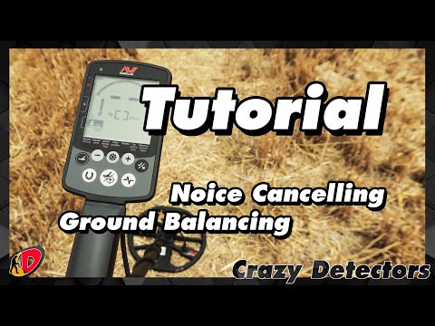 Minelab Equinox 800 – Boden- und Umgebungsscan - Crazy Detectors