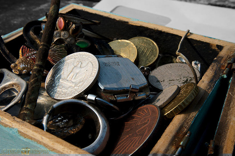 Crazy Detectors Funde mit dem Metalldetektor