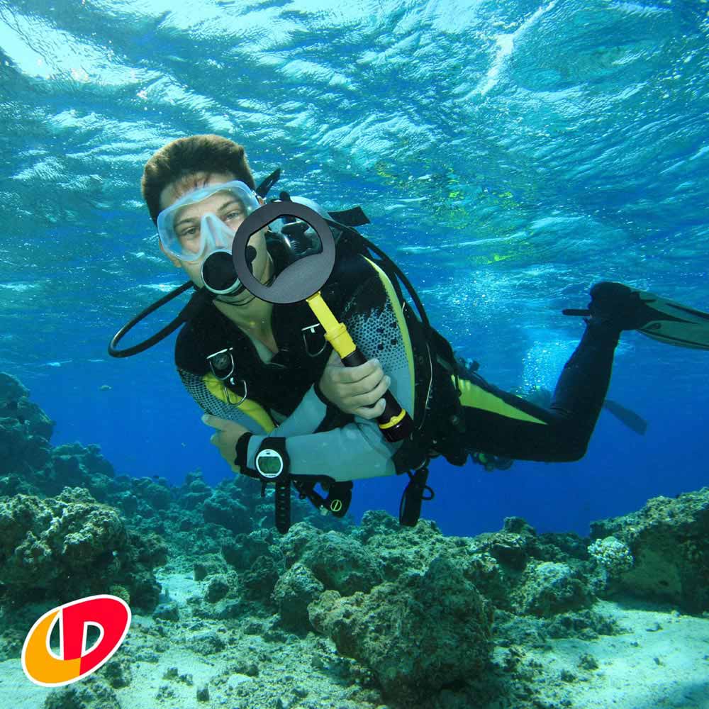 Nokta Makro PulseDive - Crazy Detectors