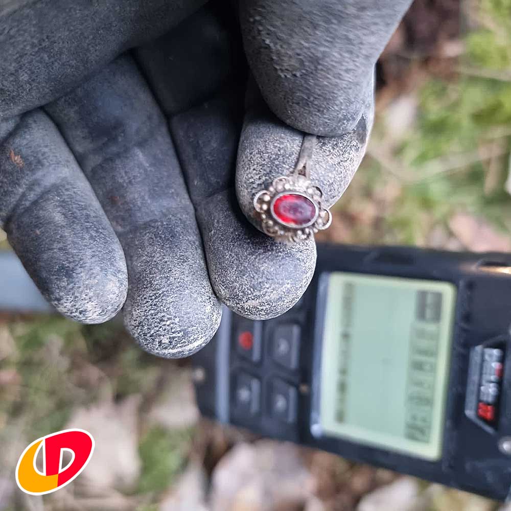 XP Deus II RC WS6 - Crazy Detectors